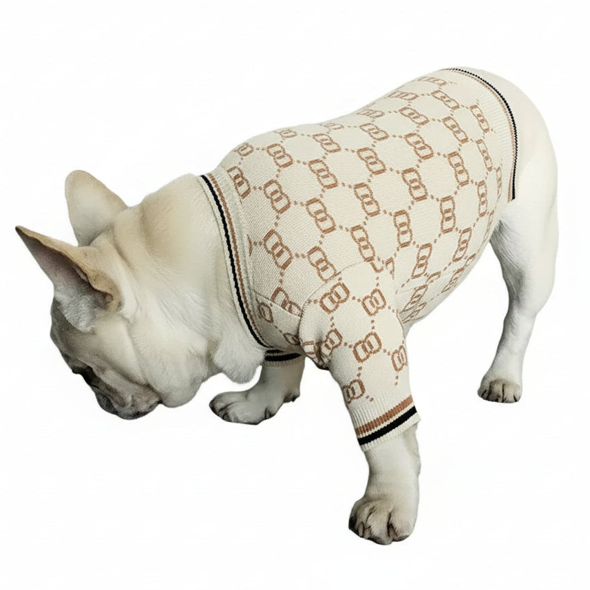 Dog wearing a patterned sweater on a gray couch