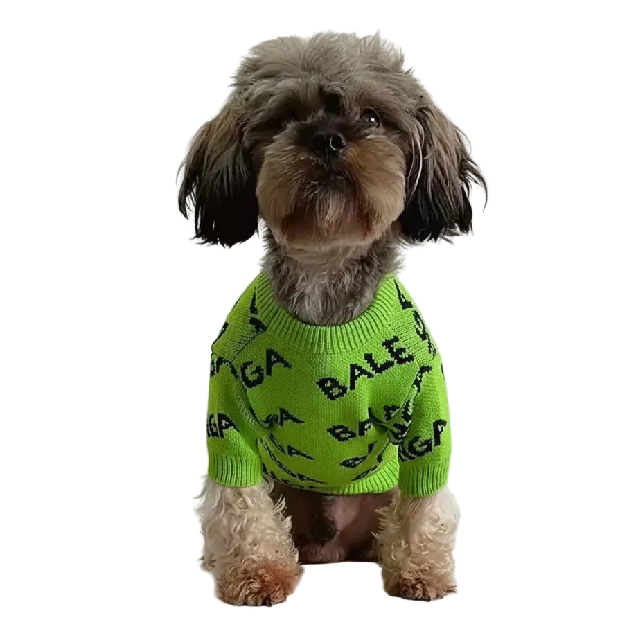 Dog wearing a green sweater with black text, sitting on a white chair.
