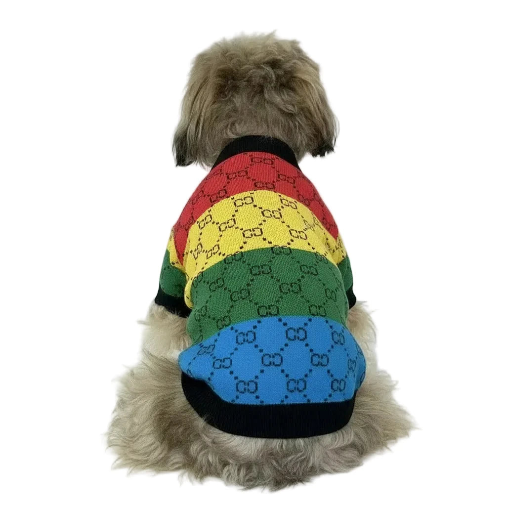 Dog wearing a colorful sweater with a pattern, sitting on a white chair against a light gray background.