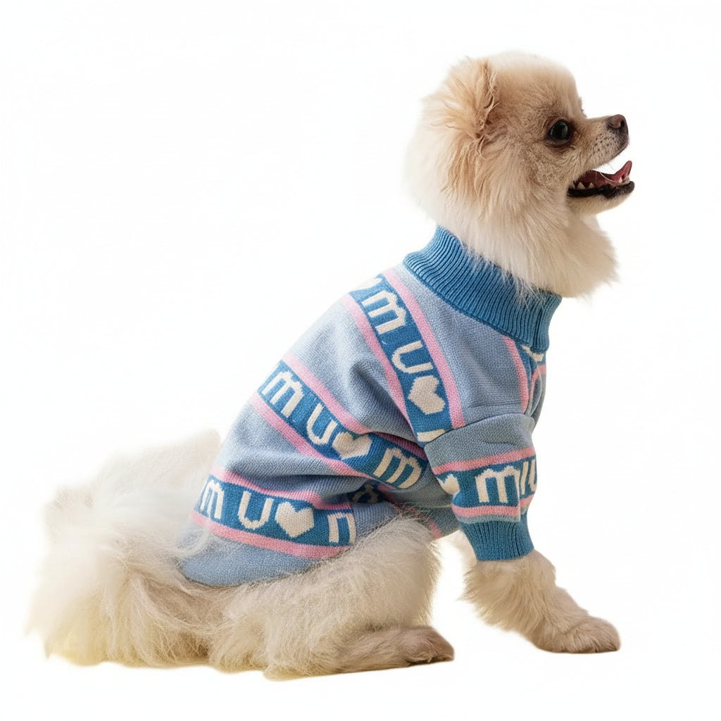 Small dog wearing a blue sweater with pink text and patterns on a pink background