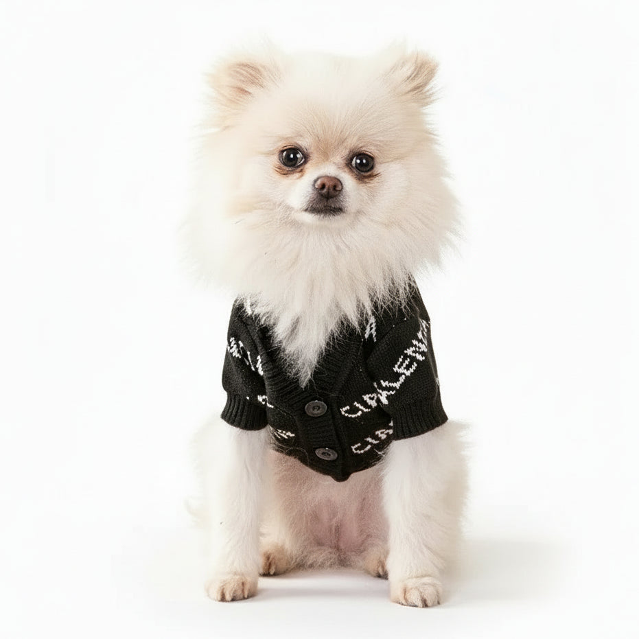Small white dog wearing a black sweater with white text, sitting on a yellow ottoman against a yellow background.