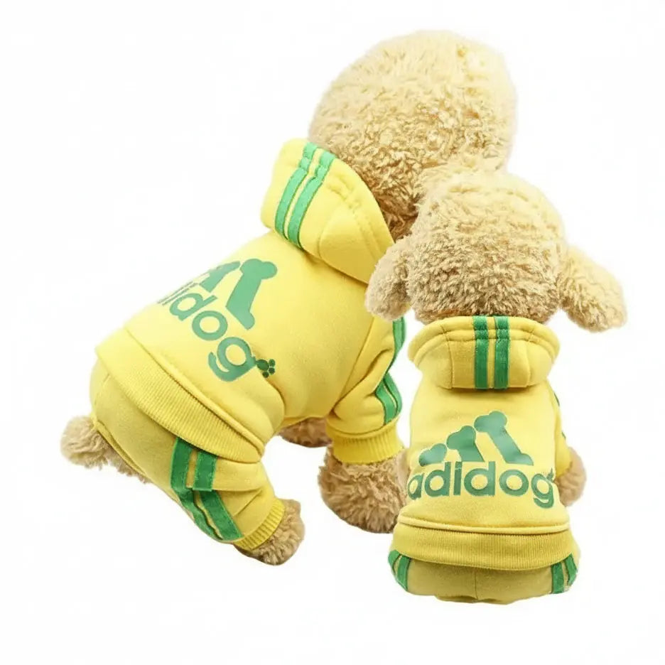 Two small dogs wearing yellow hoodies with green accents and 'adidog' branding on a light background.
