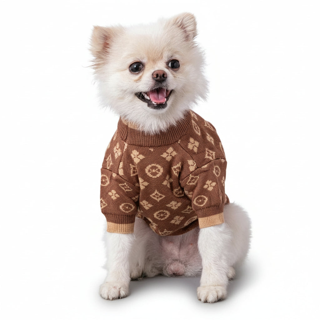 Small dog wearing a brown patterned sweater indoors