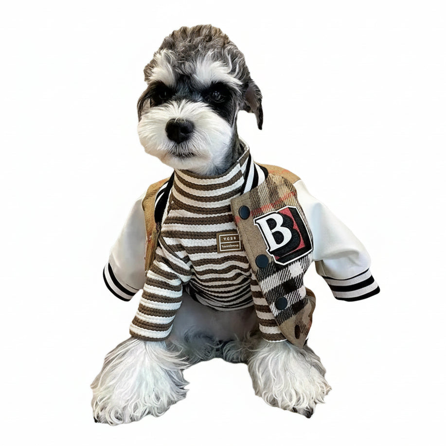 Dog wearing a striped sweater and checkered jacket with a visible brand logo on a beige background