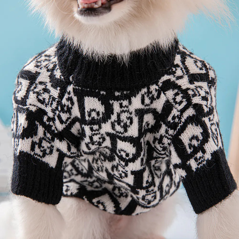 Dog wearing a black and white patterned sweater against a blue background