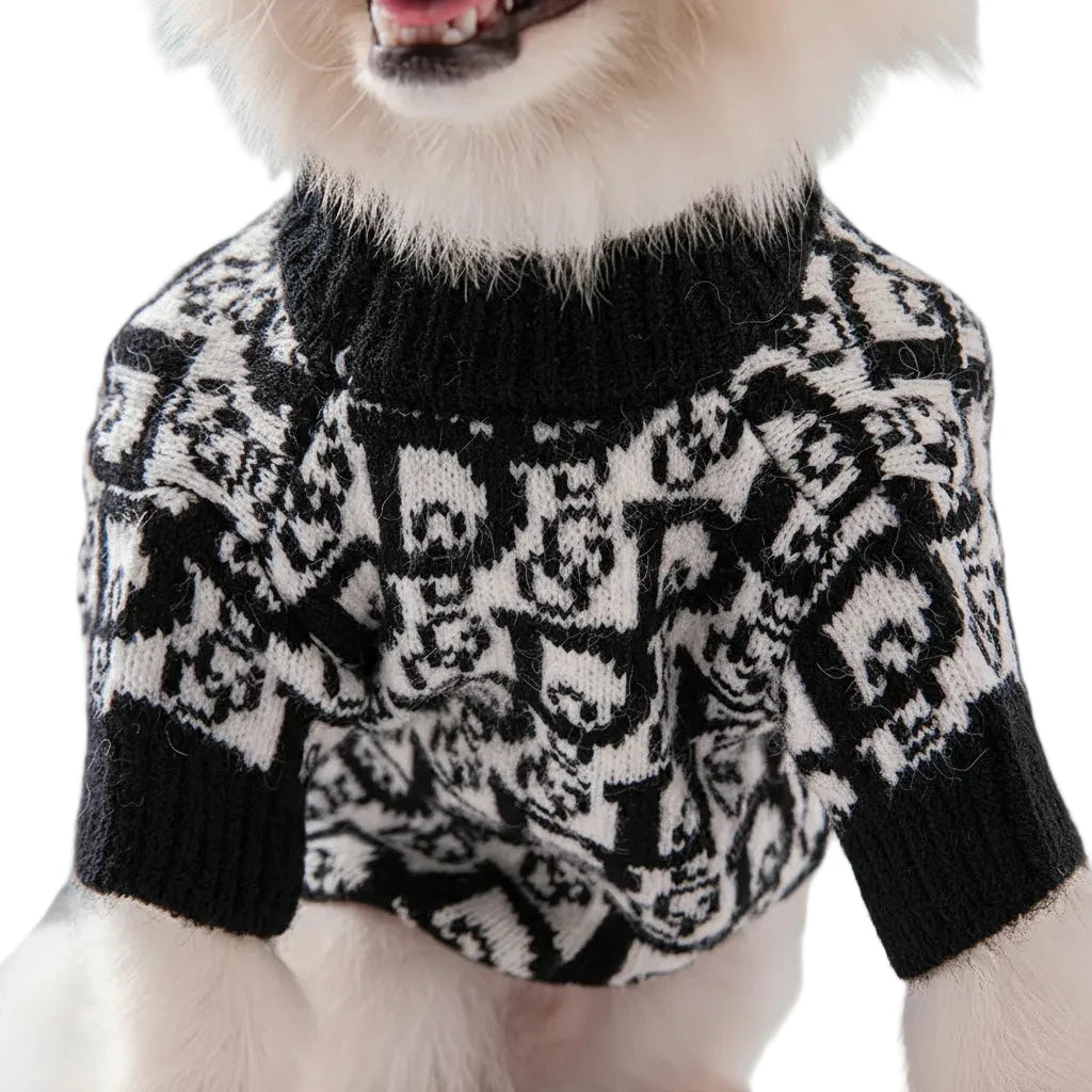 Dog wearing a black and white patterned sweater against a blue background