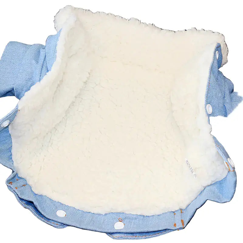 White cushion with blue trim on a textured surface