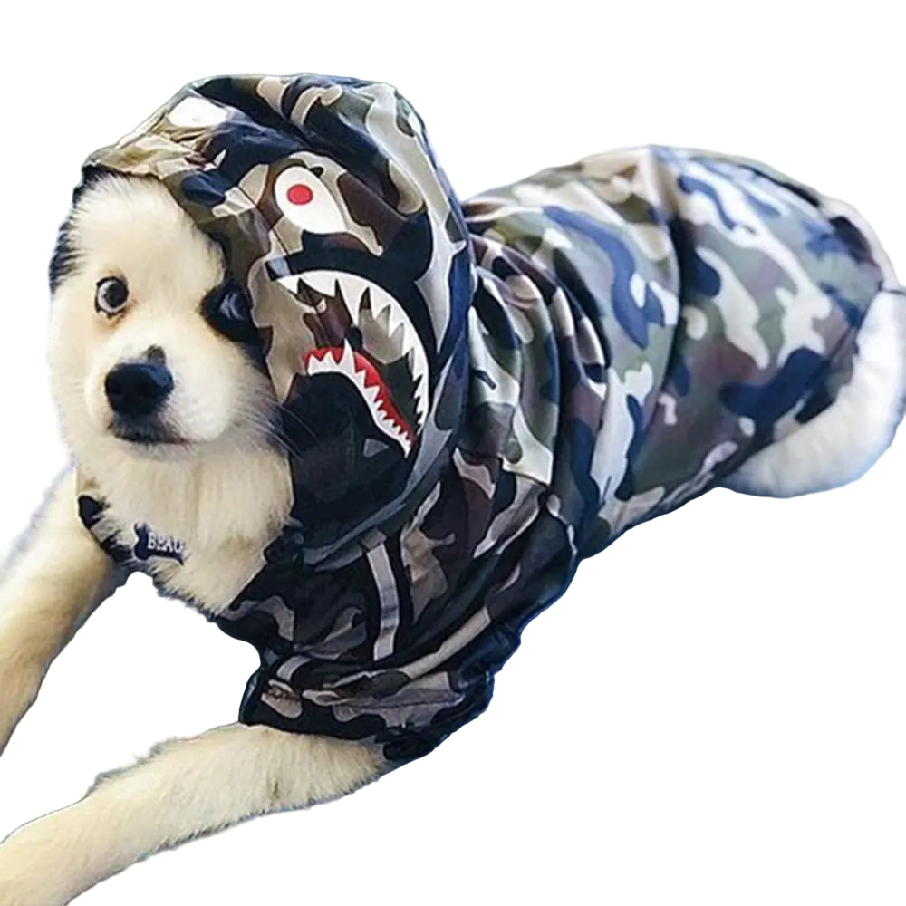 Dog wearing a camouflage hoodie with shark design on a blue surface