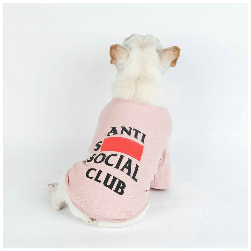 Dog wearing a pink 'Anti Social Club' shirt on a white background