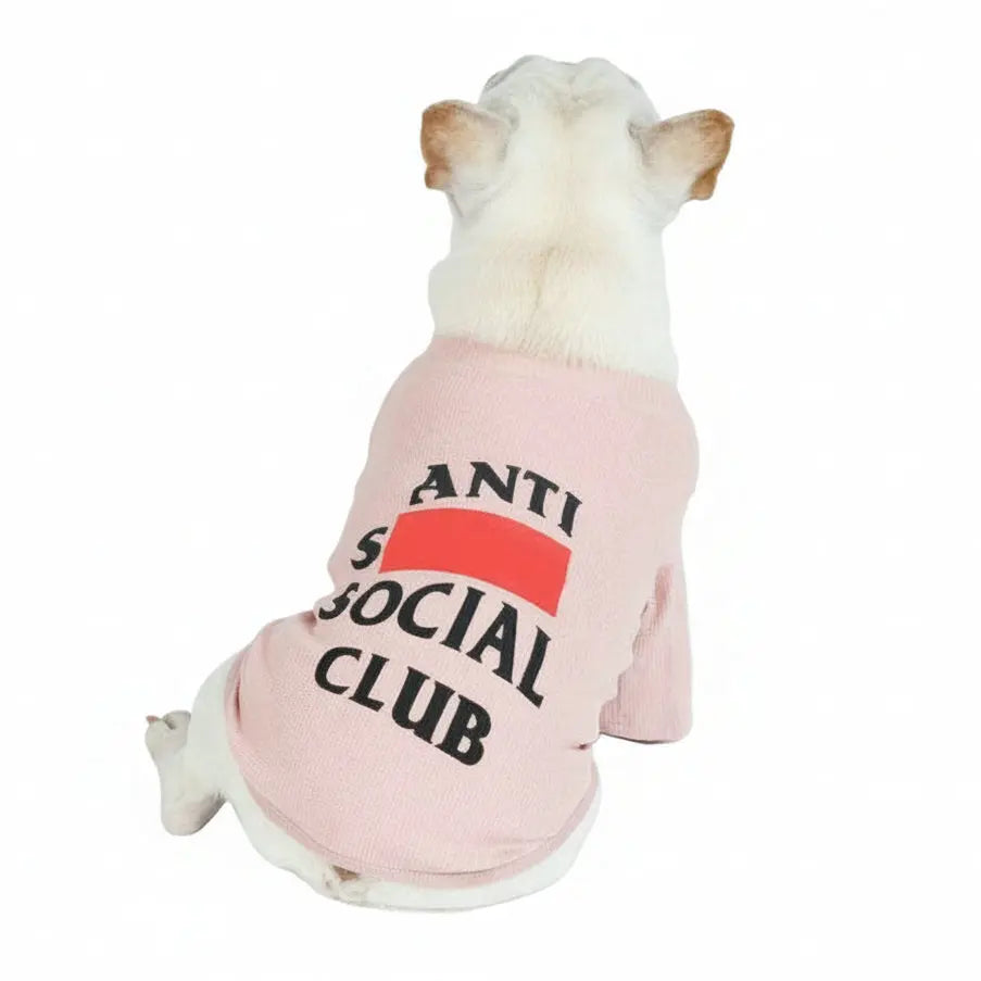 Dog wearing a pink 'Anti Social Club' shirt on a white background