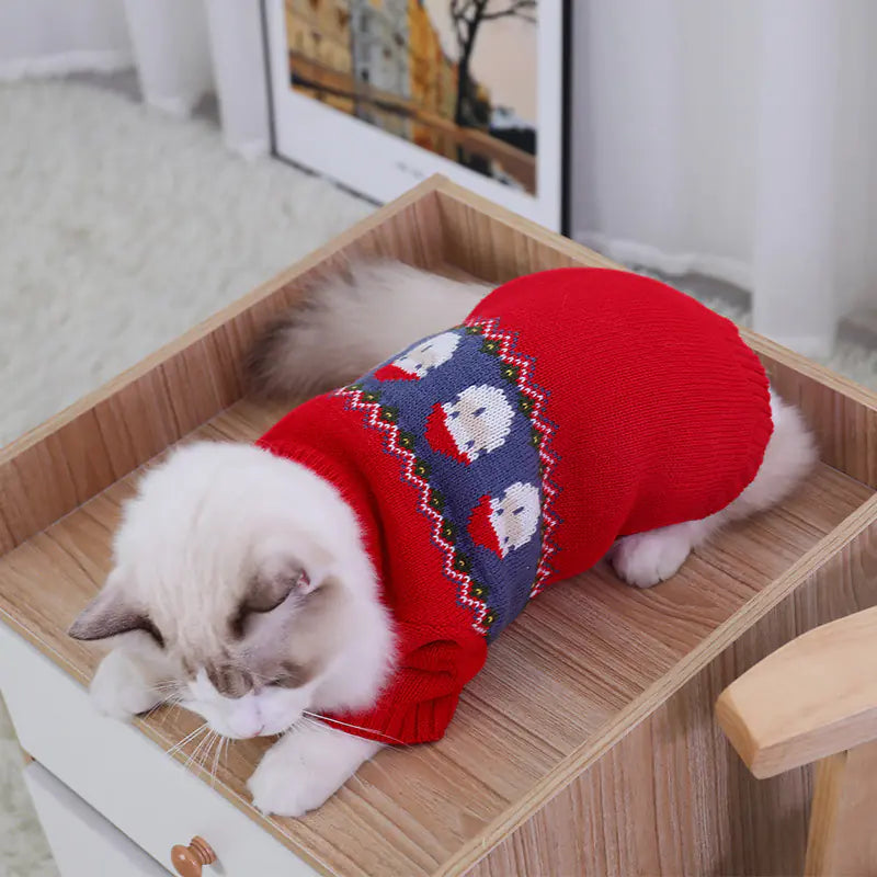 Cat wearing a red sweater with a blue pattern on a wooden surface