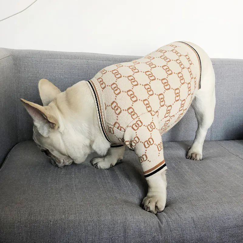 Dog wearing a patterned sweater on a gray couch