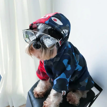 Dog wearing a colorful hoodie and sunglasses indoors.