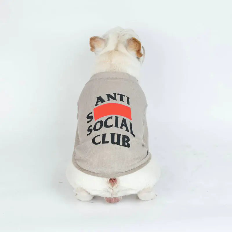 Dog wearing a 'Anti Social Club' shirt on a white background