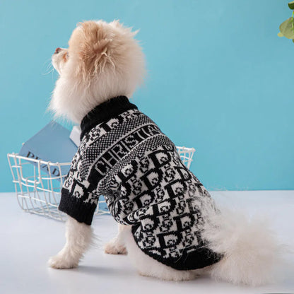 Small dog wearing a black and white patterned sweater against a blue background