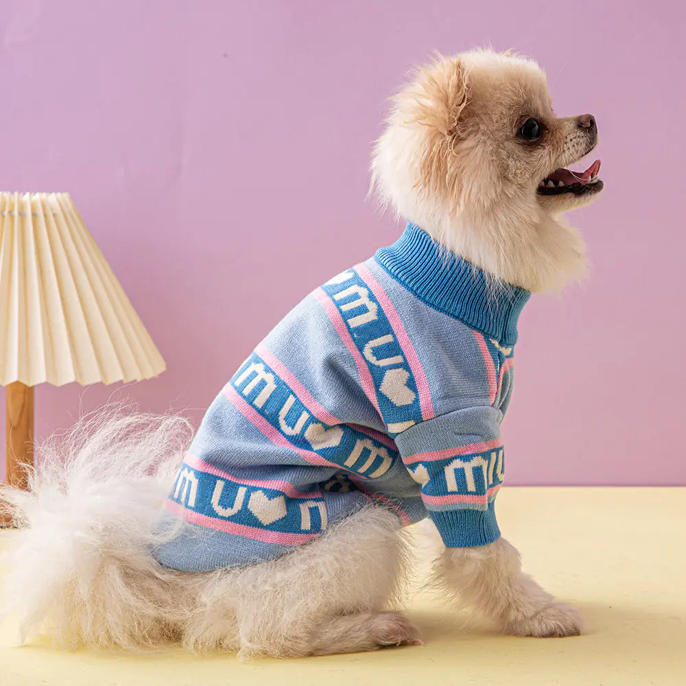 Small dog wearing a blue sweater with pink text and patterns on a pink background