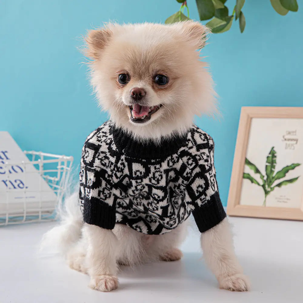 Small dog wearing a black and white patterned sweater on a light blue background
