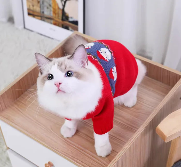Cat wearing a red sweater with blue patterns on a wooden surface