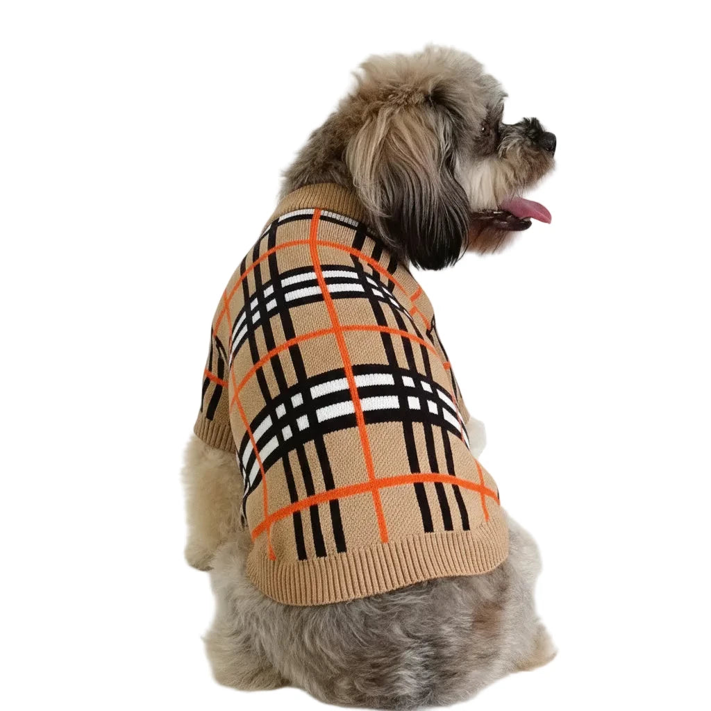 Dog wearing a plaid sweater with orange accents, sitting on a white chair.