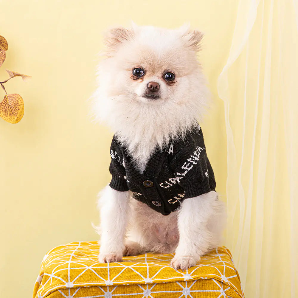 Small white dog wearing a black sweater with white text, sitting on a yellow ottoman against a yellow background.