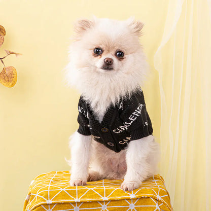 Small white dog wearing a black sweater with white text, sitting on a yellow ottoman against a yellow background.