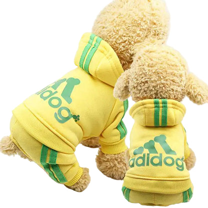 Two small dogs wearing yellow hoodies with green accents and 'adidog' branding on a light background.