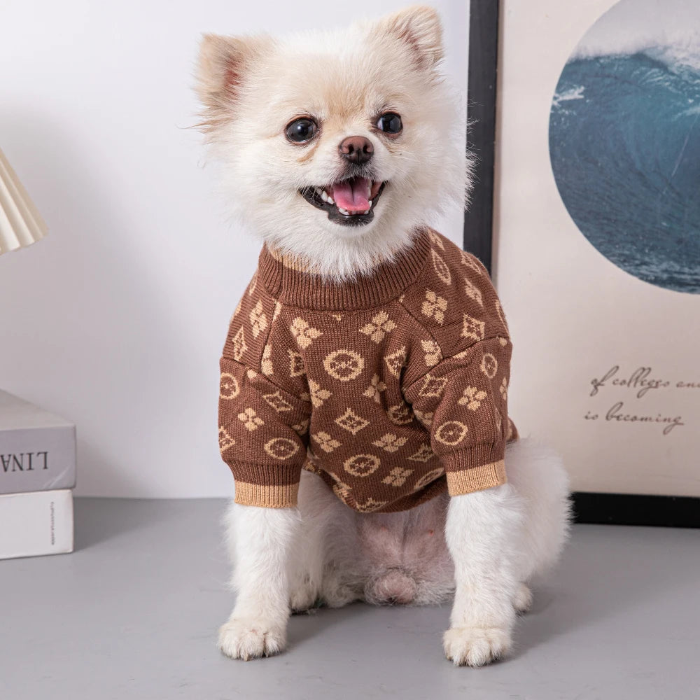 Small dog wearing a brown patterned sweater indoors