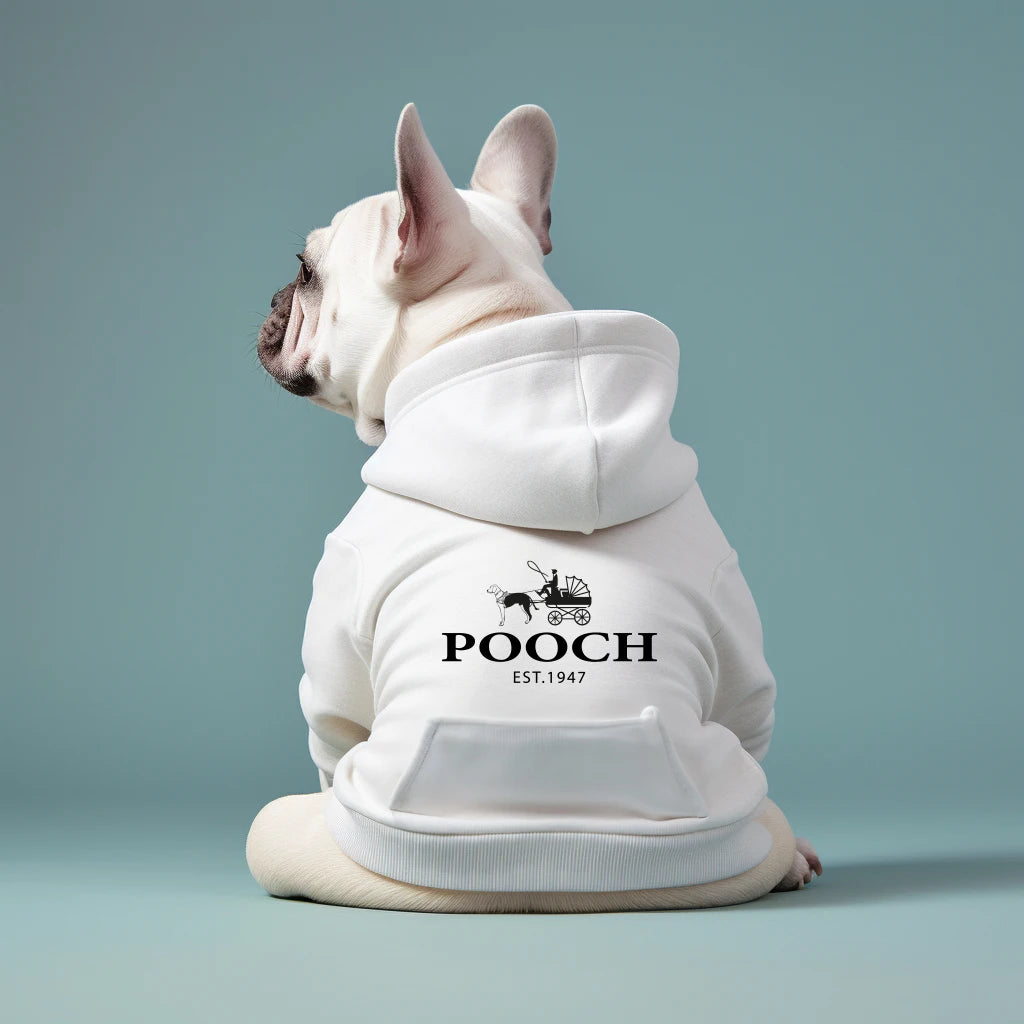 Dog wearing a white hoodie with 'POOCH EST. 1947' logo on a light blue background
