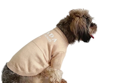 Dog wearing a beige sweater with text on a white chair against a white background