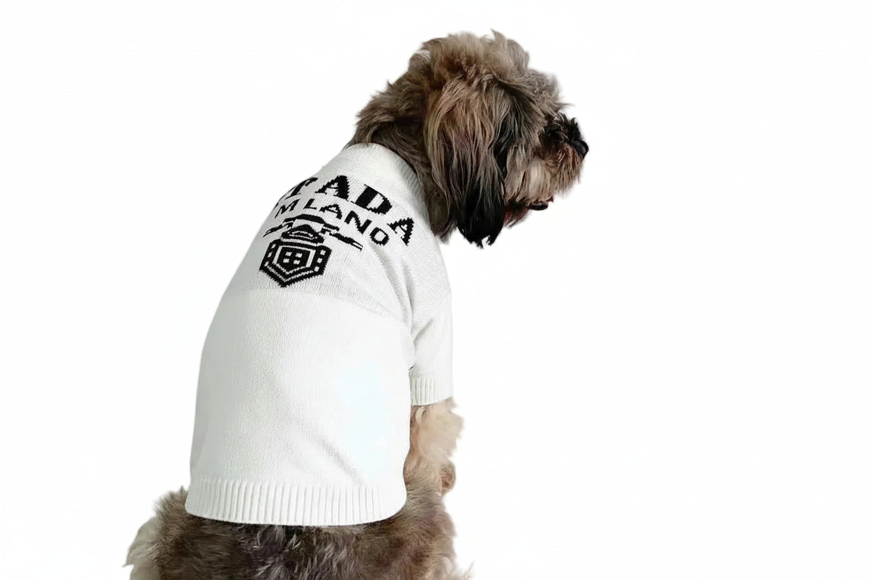 Dog wearing a white sweater with black text and logo on a white background