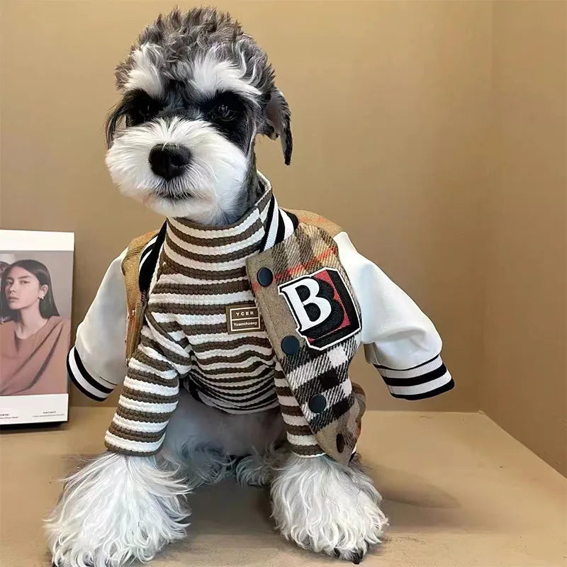 Dog wearing a striped sweater and checkered jacket with a visible brand logo on a beige background
