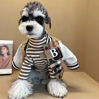 Dog wearing a striped sweater and checkered jacket with a visible brand logo on a beige background
