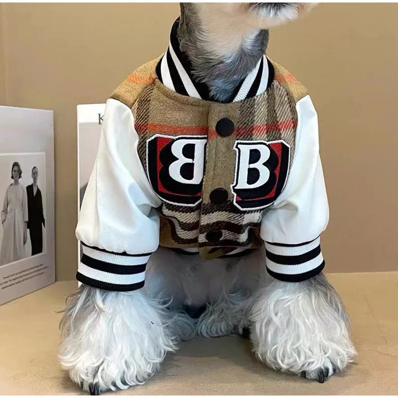 Dog wearing a plaid varsity jacket with a large letter 'B' on a beige background