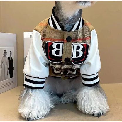 Dog wearing a plaid varsity jacket with a large letter 'B' on a beige background