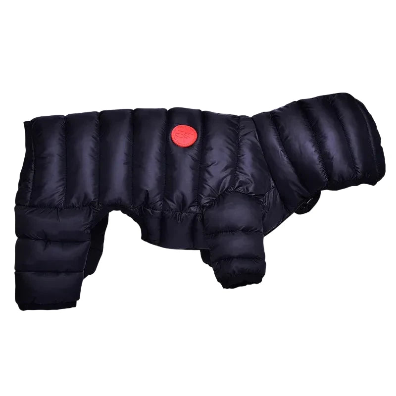 Black puffer dog coat with a red button on a white background