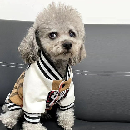 Small dog wearing a stylish jacket with a checkered pattern on a black background