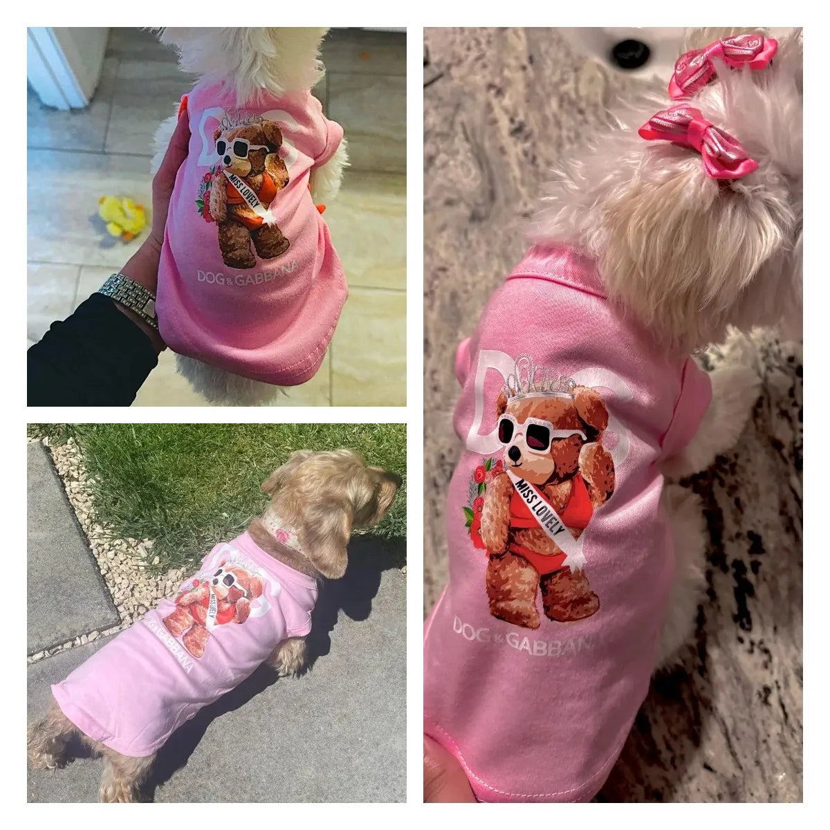 Collage of a dog wearing a pink outfit with a teddy bear design, labeled 'Dog & Gabbana'.
