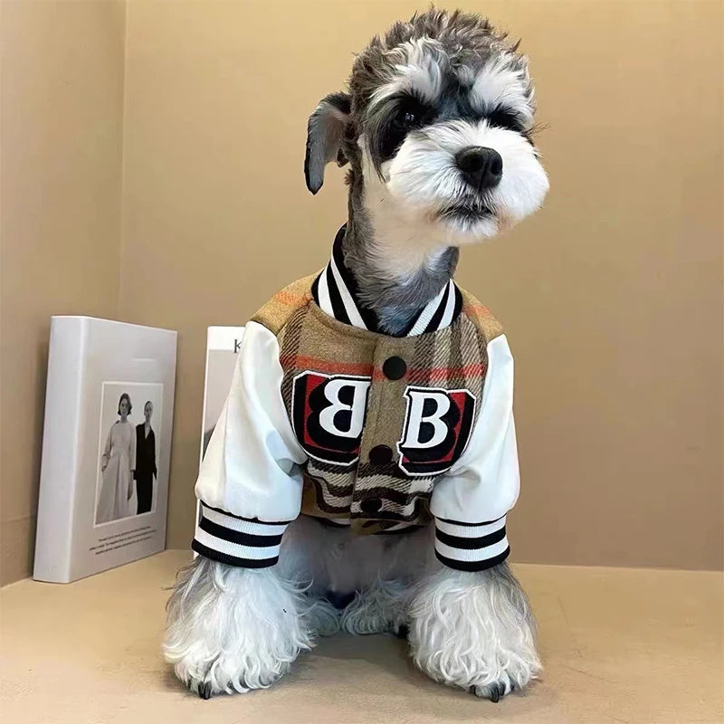 Small dog wearing a checkered jacket with 'BB' logo on a beige background