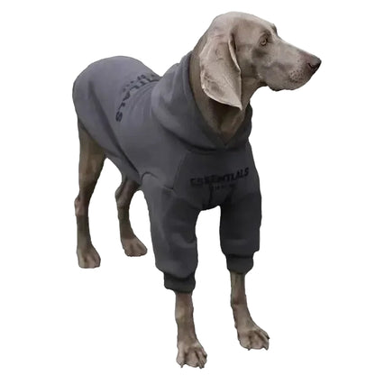 Dog wearing a gray hoodie with a visible brand logo on a white background