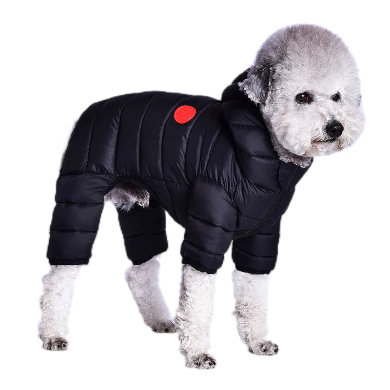 Dog wearing a black puffer coat with a red patch on a white background