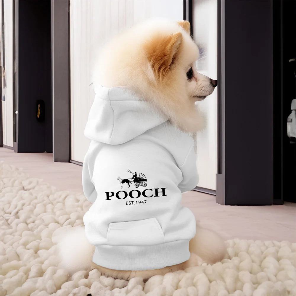 Small dog wearing a white hoodie with 'POOCH EST. 1947' text on a textured floor.