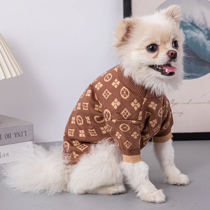 Small dog wearing a brown patterned sweater on a light gray surface.