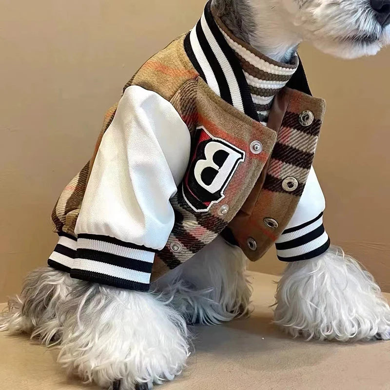 Dog wearing a plaid varsity jacket with a prominent 'B' logo on a beige background