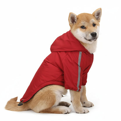 Dog wearing a red raincoat on a beige background