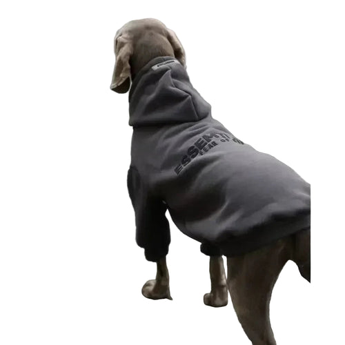 Dog wearing a gray hoodie with 'Essential Team' text on a road.