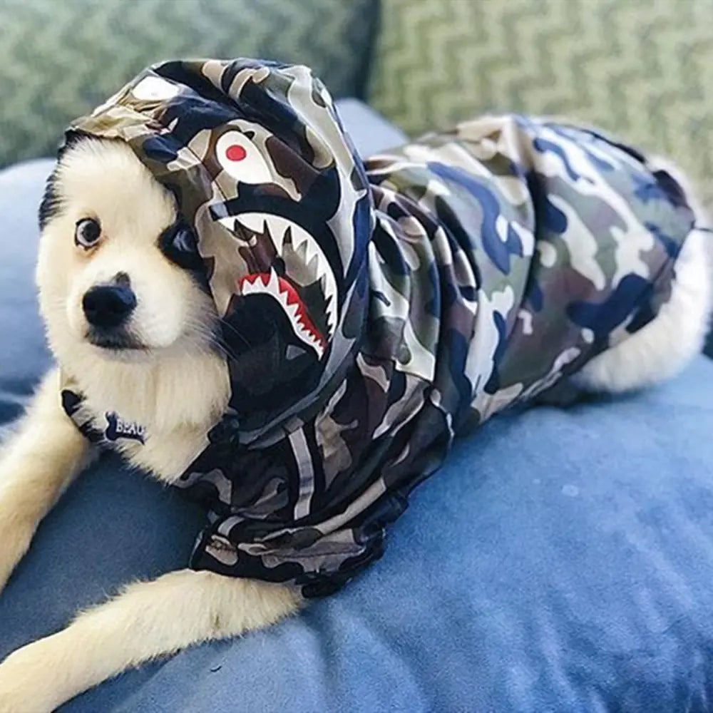 Dog wearing a camouflage hoodie with shark design on a blue surface