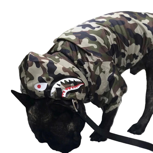 Dog wearing a camouflage raincoat with shark design on a light background