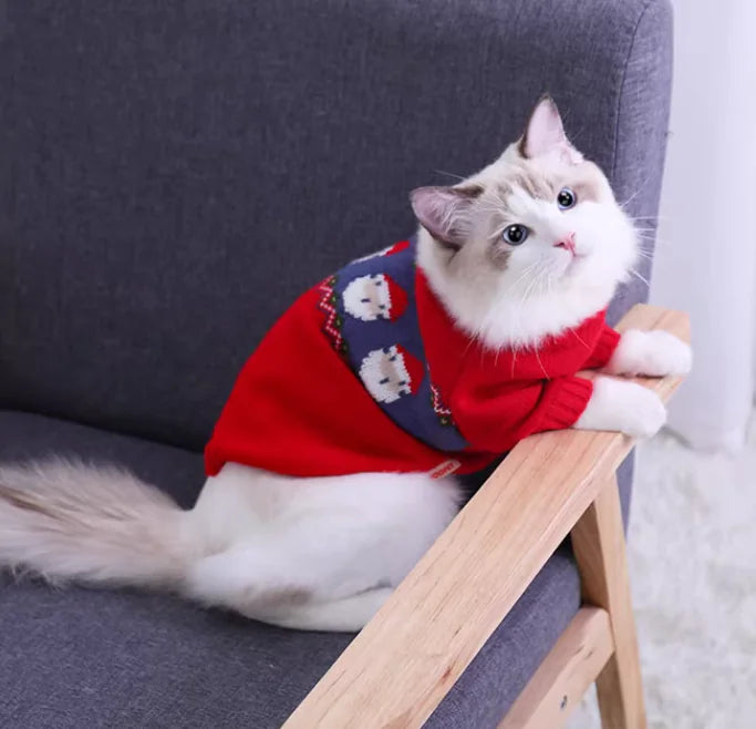 Cat wearing a red sweater with white paw prints, sitting on a wooden stool against a gray couch.