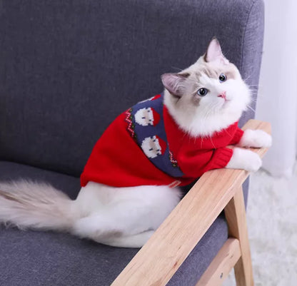 Cat wearing a red sweater with white paw prints, sitting on a wooden stool against a gray couch.