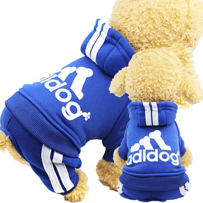 Blue 'adidog' pet outfit on a small dog with a white background